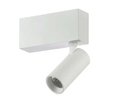 Adjustable Spot Mini 5w White